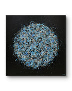 Petal Burst 52 - Lisa Carney