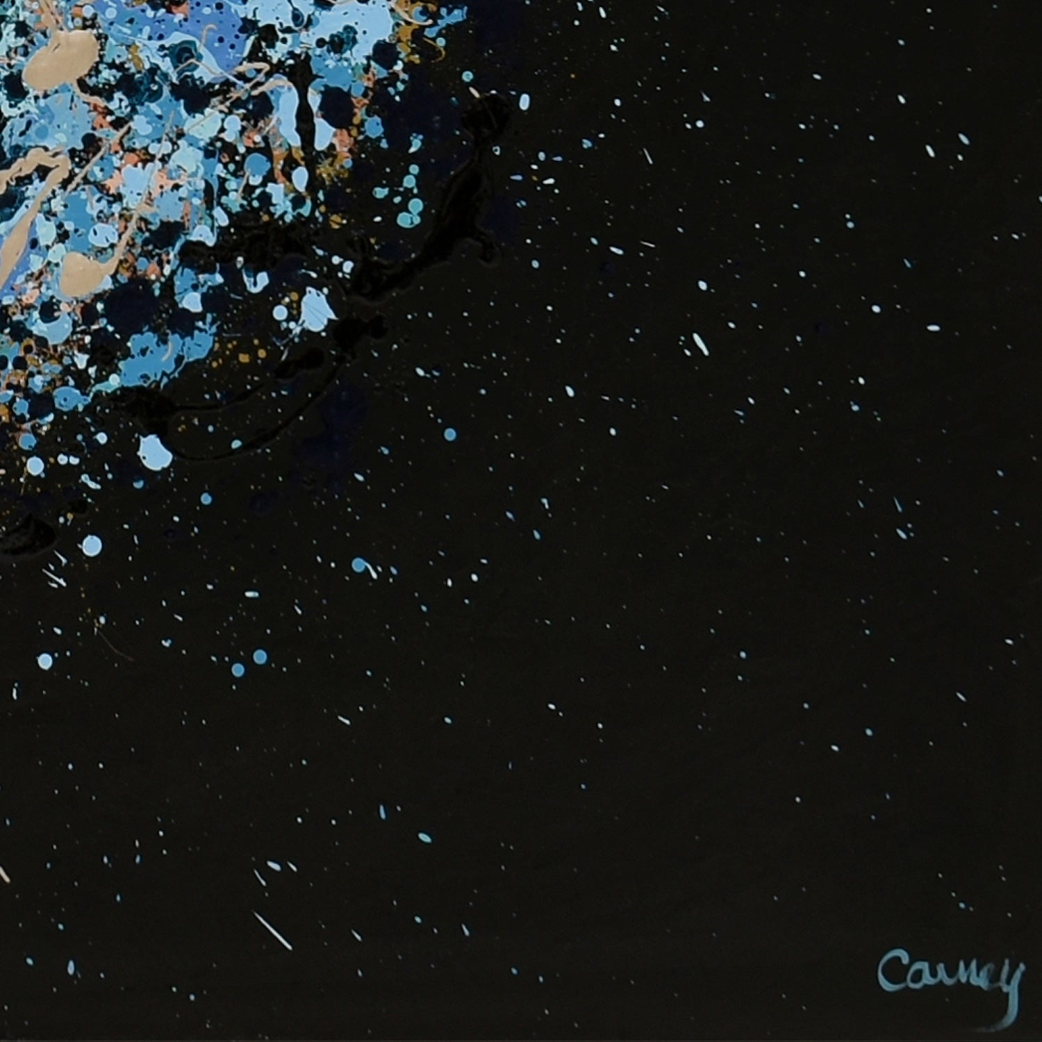 Petal Burst 52 - Lisa Carney