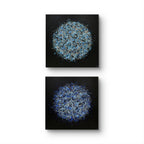 Petal Burst 50 + Petal Burst 52 diptych, alternate arrangement - Lisa Carney