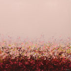 Rose Afterglow