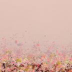 Rose Afterglow