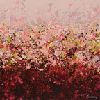 Rose Afterglow