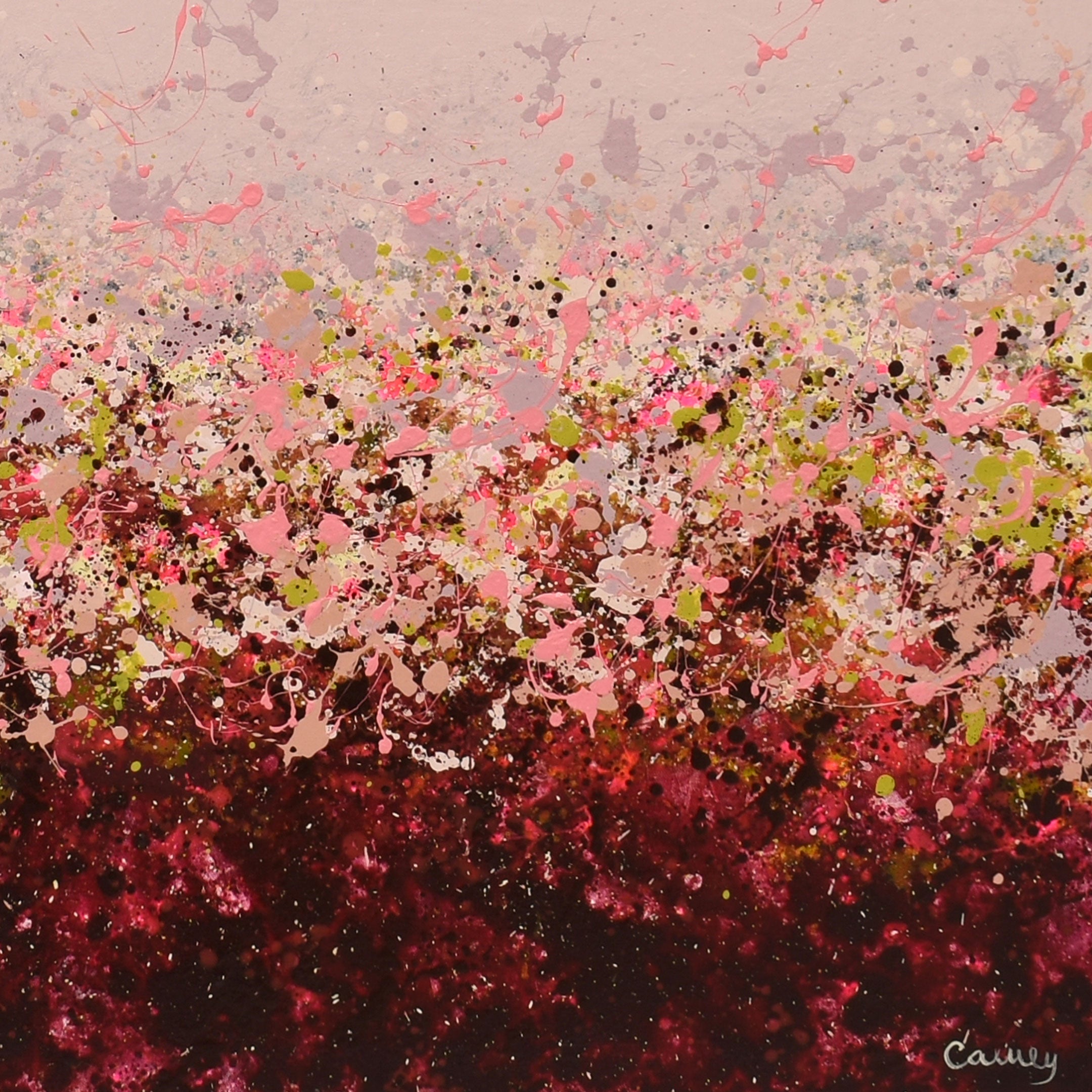 Rose Afterglow
