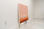 Wild Blush
